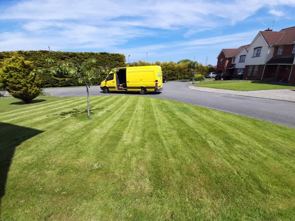 grass cutting,lawnmowing,bangor,ards,North down