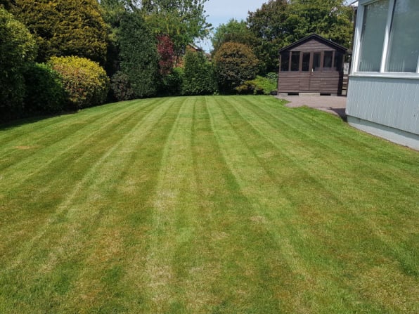 Grass Cutting,Lawnmowing,Bangor,Groomsport, Newtownards